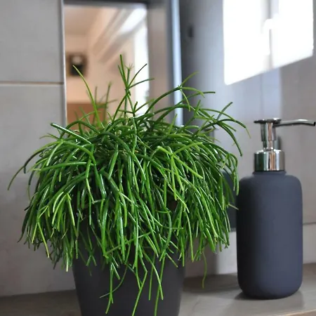 Διαμέρισμα Vas Lipa 7 -30 Podčetrtek