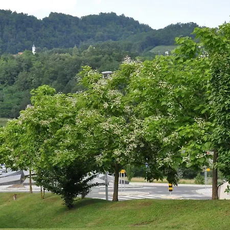 Apartmán Vas Lipa 7 -30