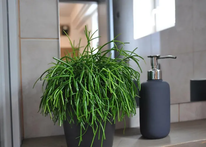 Appartement Vas Lipa 7 -30 Podčetrtek