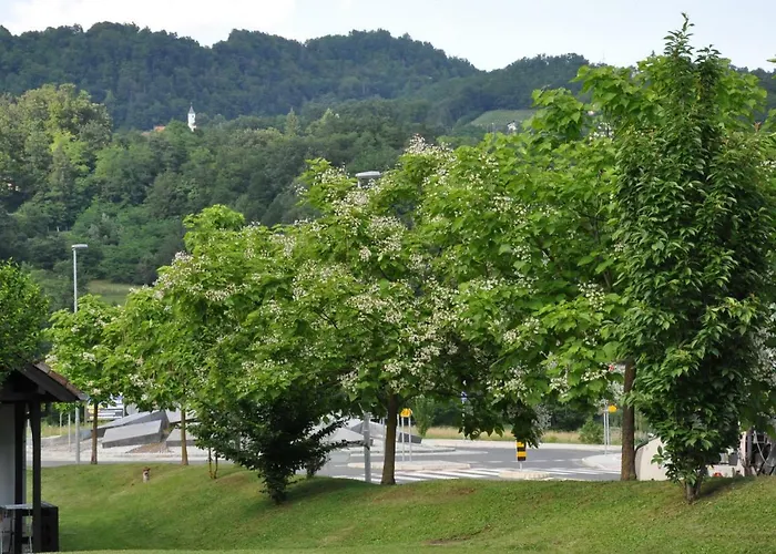 Appartement Vas Lipa 7 -30